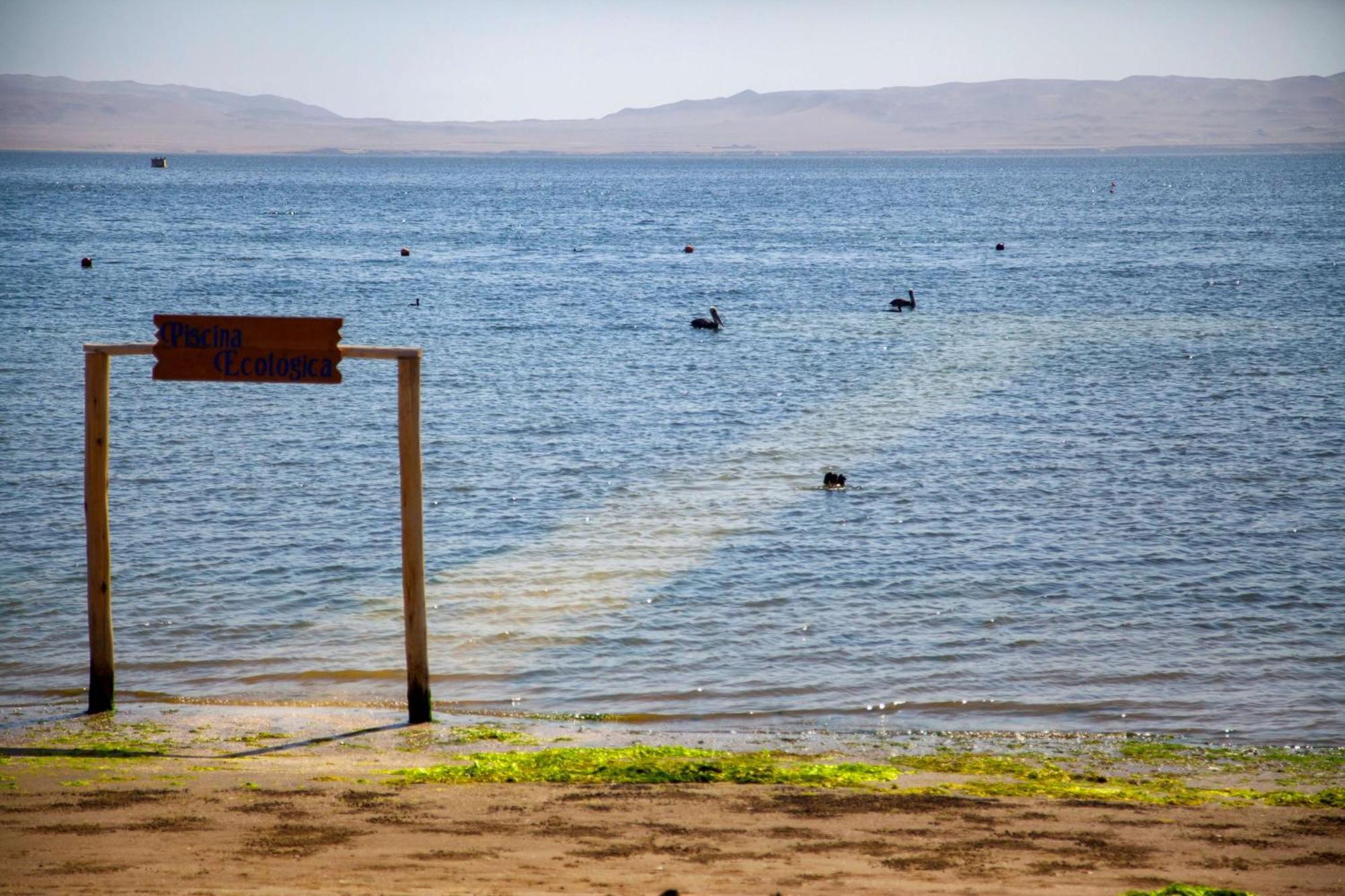 The Legend Paracas Resort, A Destination By Hyatt Hotel Exterior foto View of the lake